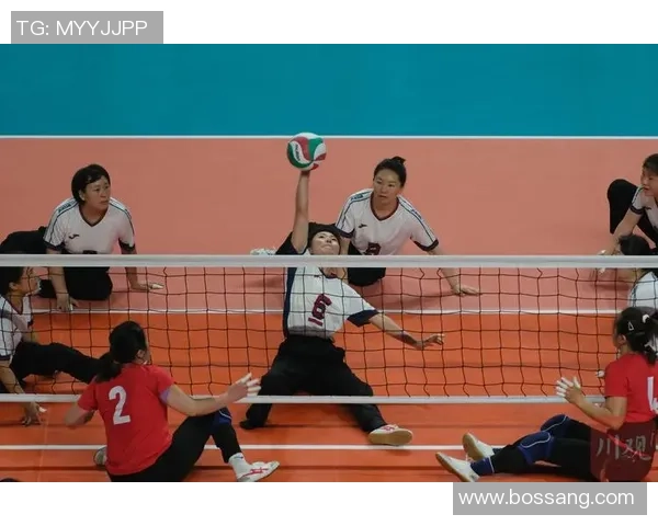 武汉排球队的精神探索与排球文化的深度融合之旅